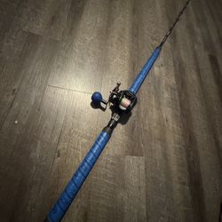 Daiwa Lexas Salt Water Fishing Combo. Like New. Ready To Fish. 