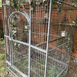 Big Ah Bird Cage 