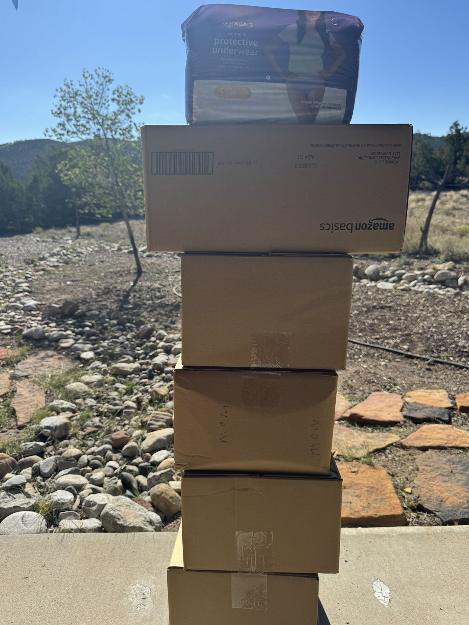 Women’s S/M Disposable Underwear