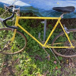 Schwinn Continental