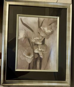 Medium Size Wall Picture