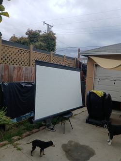 Projector Screen
