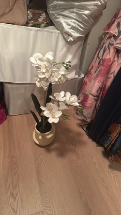 Faux orchid plant from Target