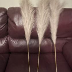 Decorative Ostrich Feathers
