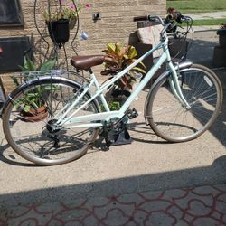 Beautiful mint green swim Admiral with beautiful chocolate leather seat quilt seat leather-wrapped handlebar grips whipped stitched at both ends, 
