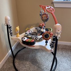 Fisher Price Baby Jumper / Bouncer