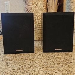 Two Beautiful Kenwood Rear Speakers 