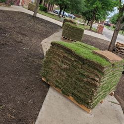 Grass Sod For Sale