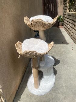 Cat bed