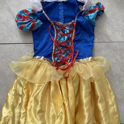 Snow White Adult Costume ( Adult Size)