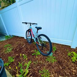 Nishiki mountain bike 