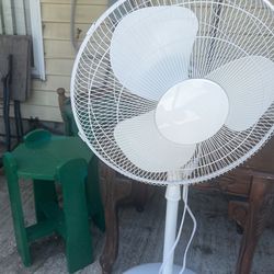Fan