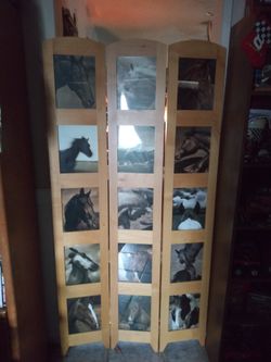 Bifold Tall Picture frame Door
