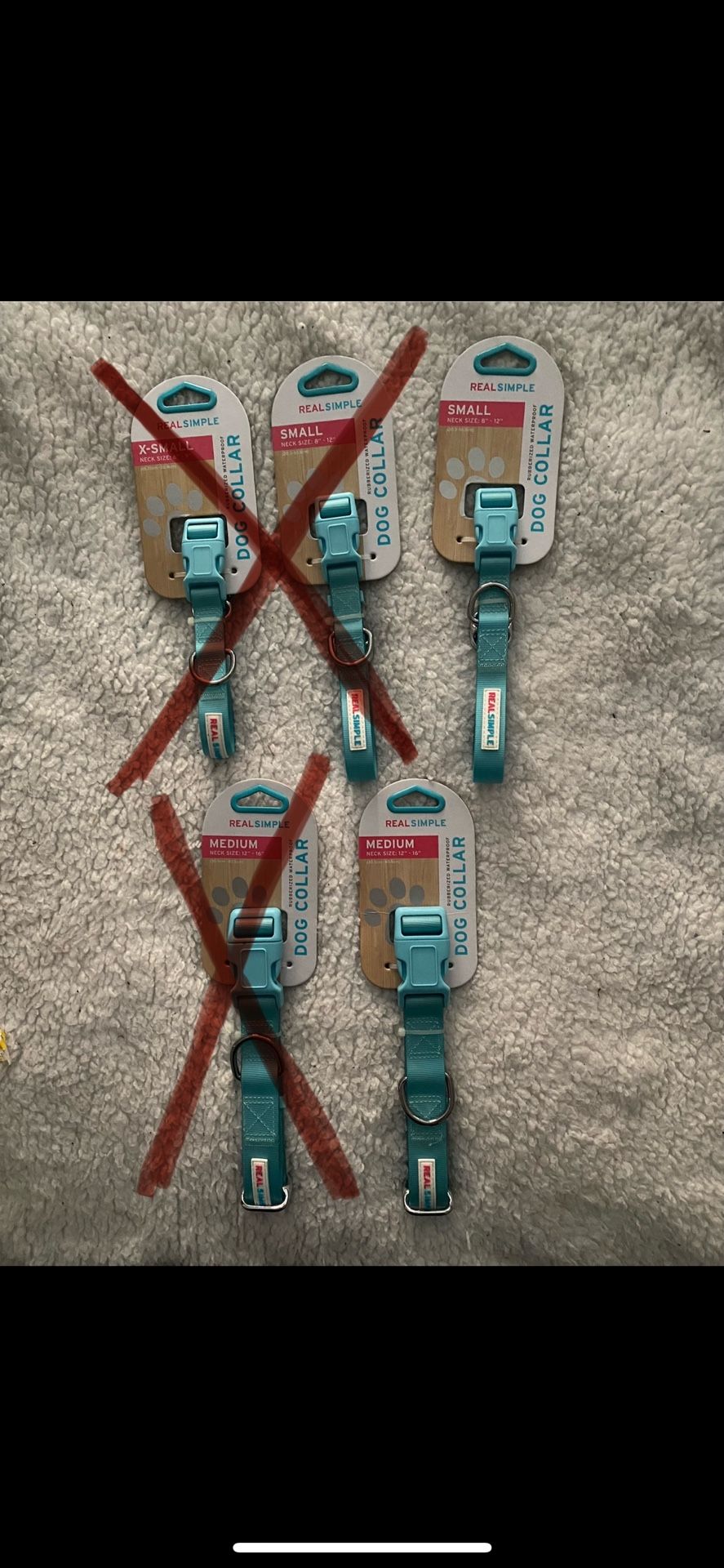 Dog Collars