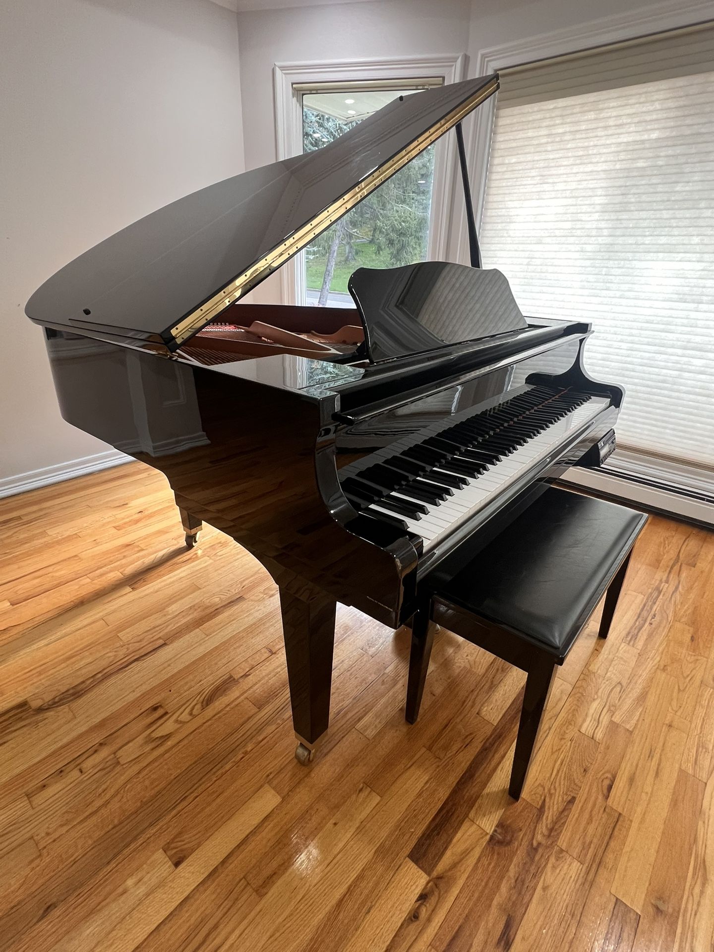 Yamaha DGB1CD Disklavier grand piano in a black polyester case