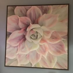 Pink Lotus 