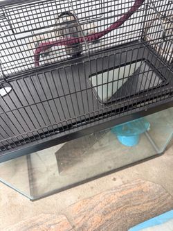Hamster Cage with some toys