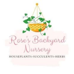 Assorted Plants, Succulents, and Herbs 