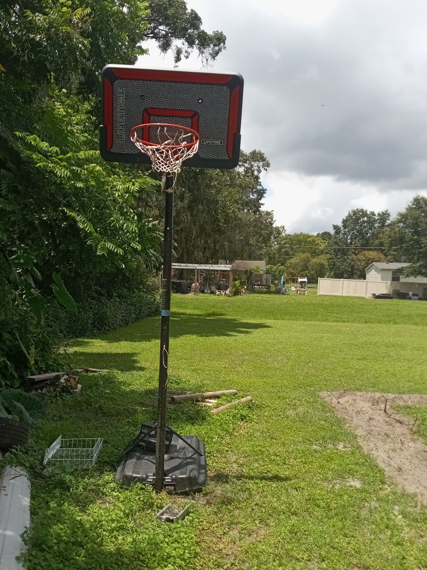 Pro Basketball Hoop