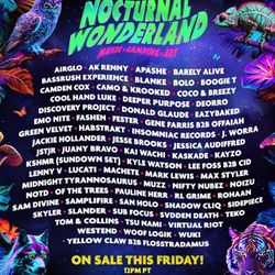 Nocturnal Wonderland Camp Wristbands 