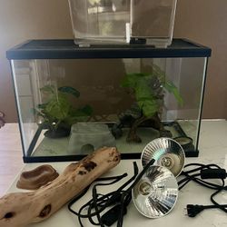 10 Gallon Reptile Tank 