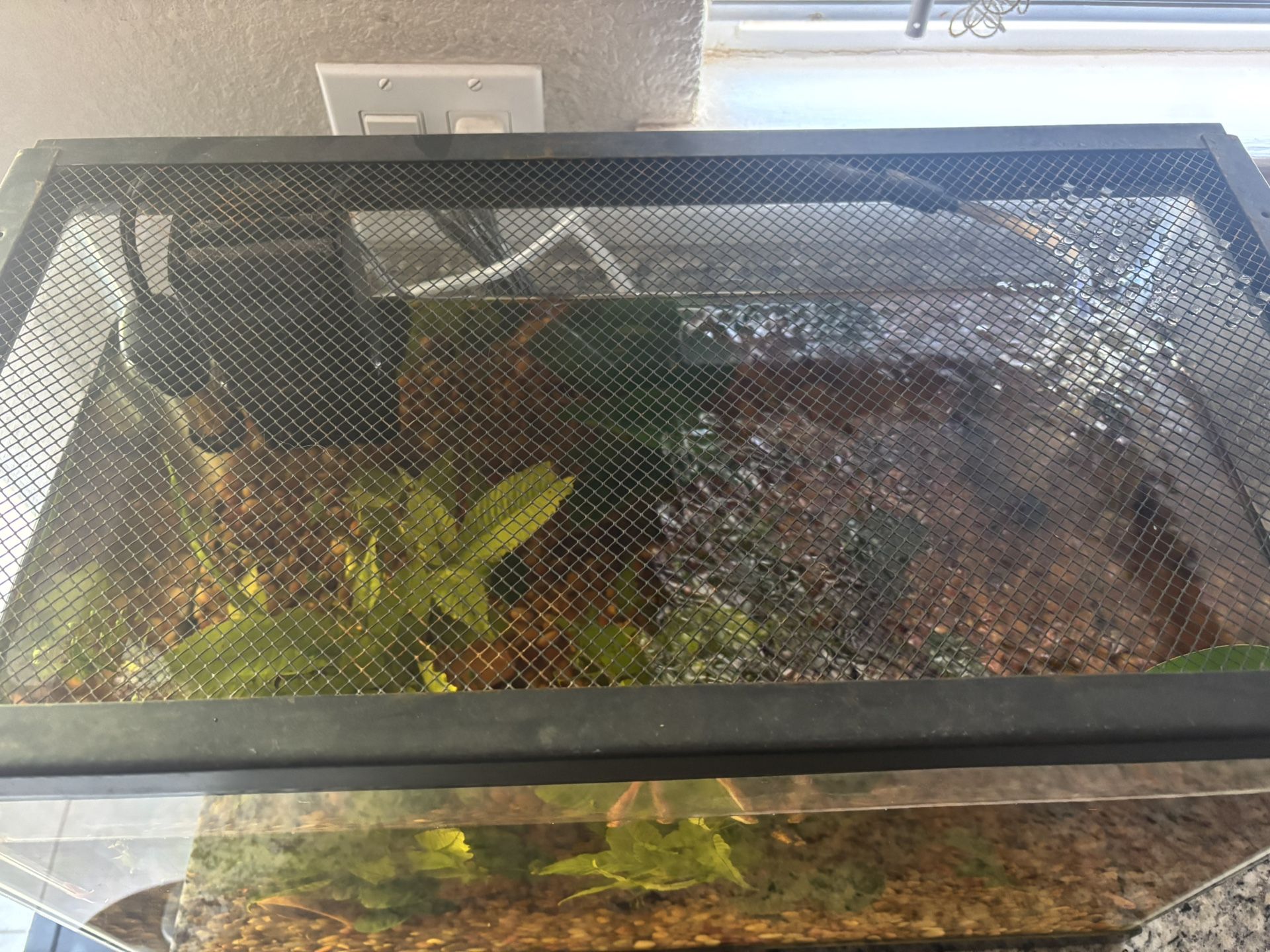 Fish tank