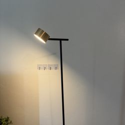 Floor Lamp. Used Like New 