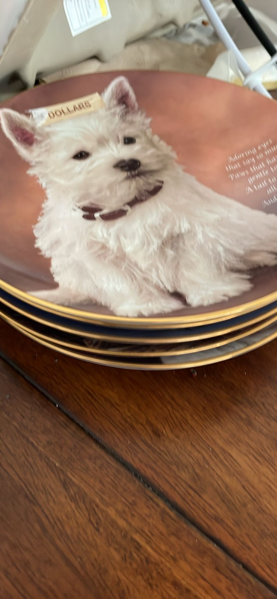 Porcelain 8 Inch Plates For 1.00 Each Collectibles 10 Plates