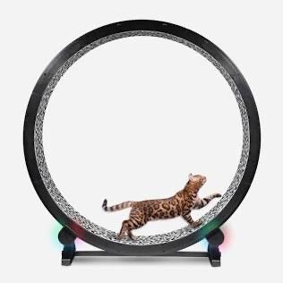 Cat Exercise Wheel - Gen. 6 × 1 White / Snow Leopard / Light-up LED