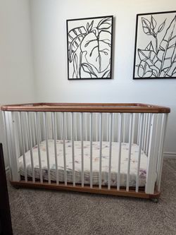 Nestig The Cloud Crib