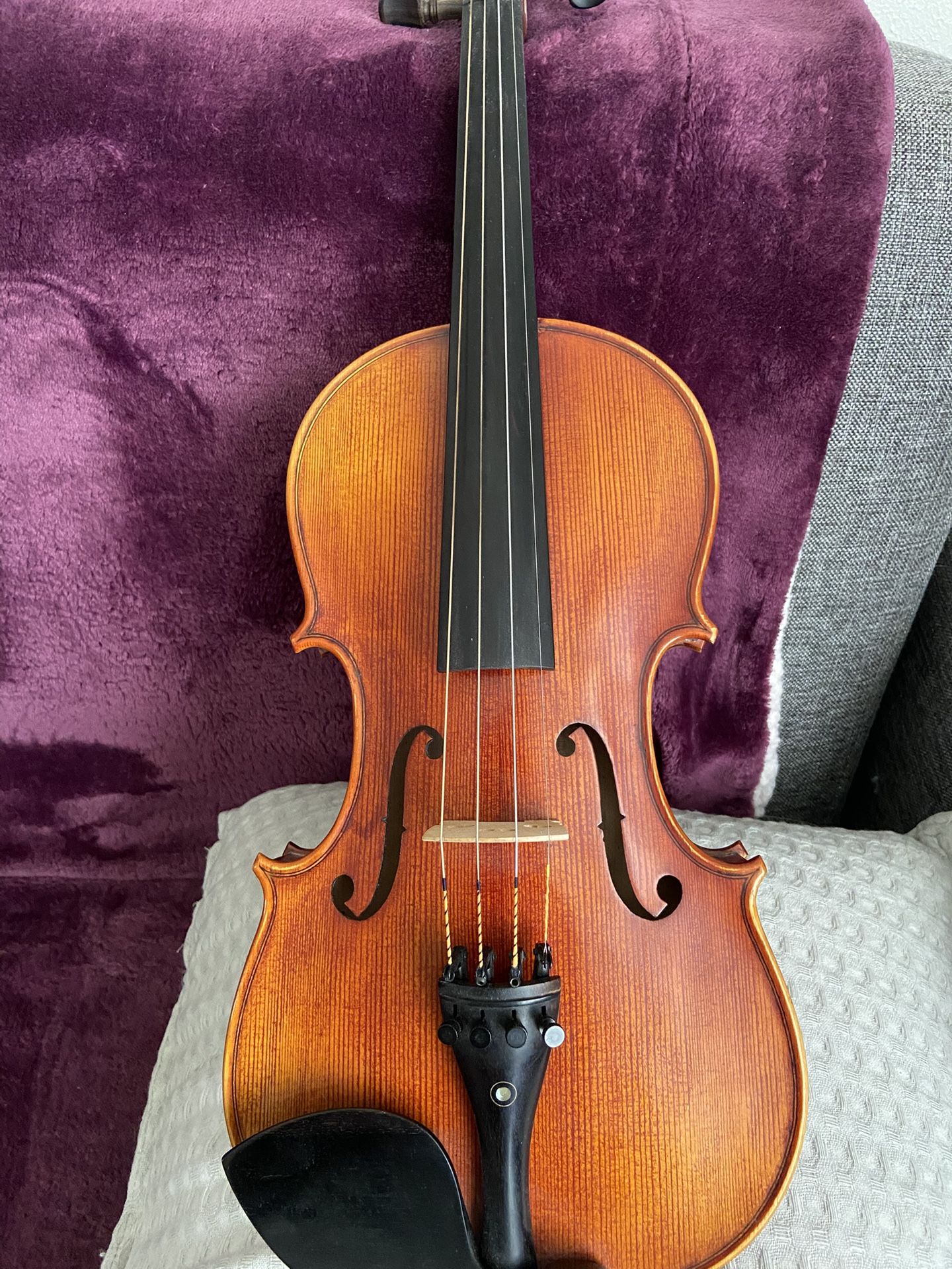 Violin