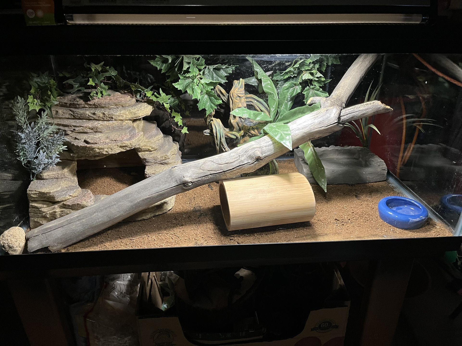 Awesome 40 Gallon Terrarium Complete!!