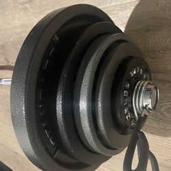 Brand NEW Olympic Curl Bar &  Weight Plates.  Total: 175 lbs