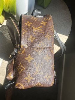 Louis Vuitton Monogram Palm Springs Backpack Mini