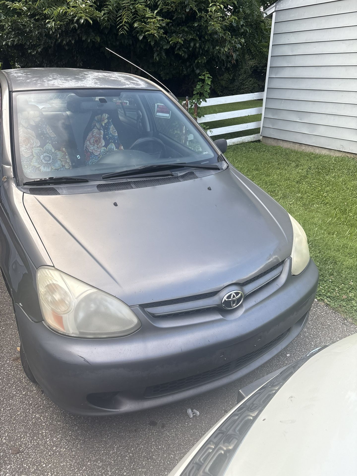 2003 Toyota Echo