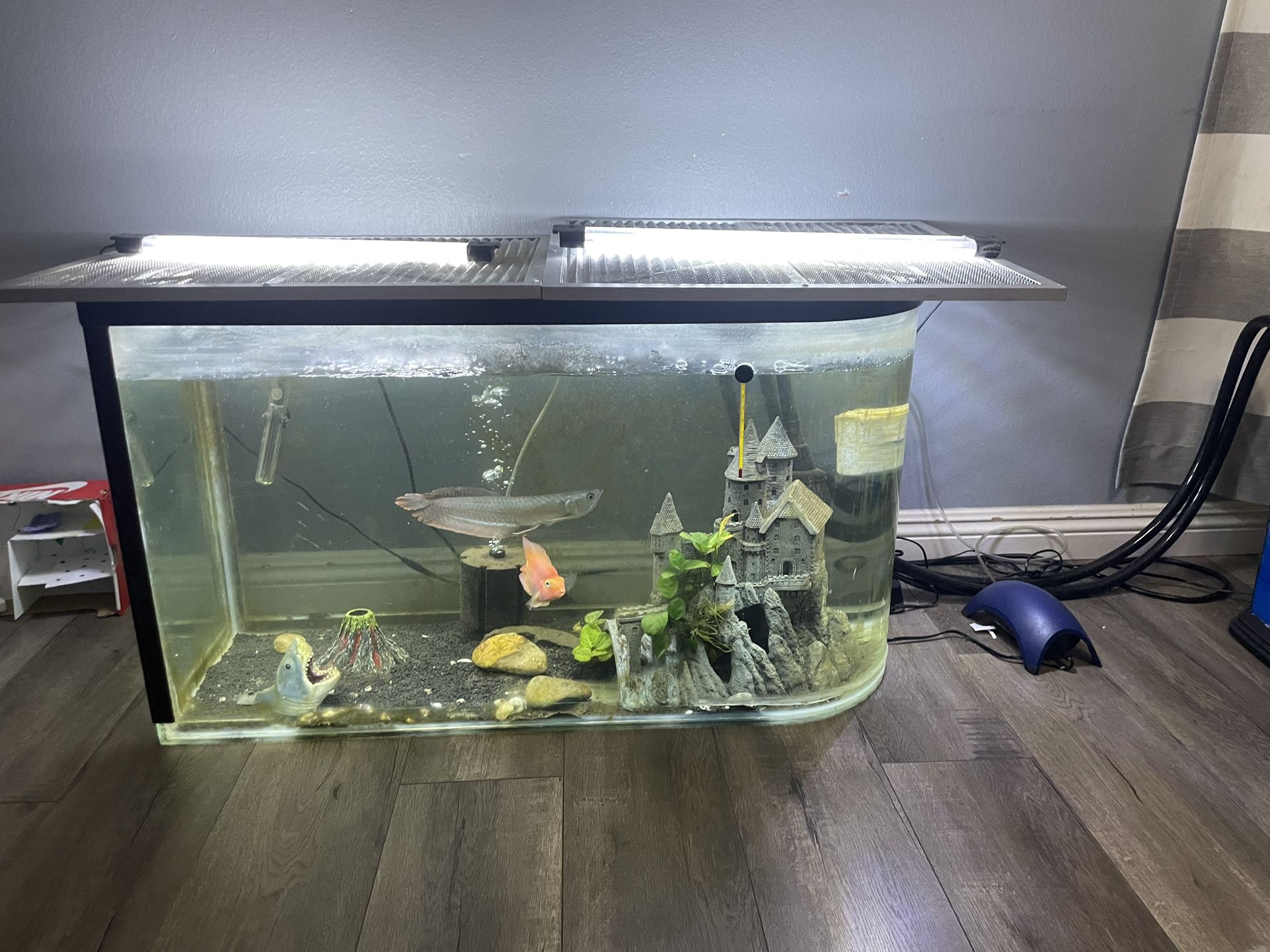 Fish Tank 65 Gallon