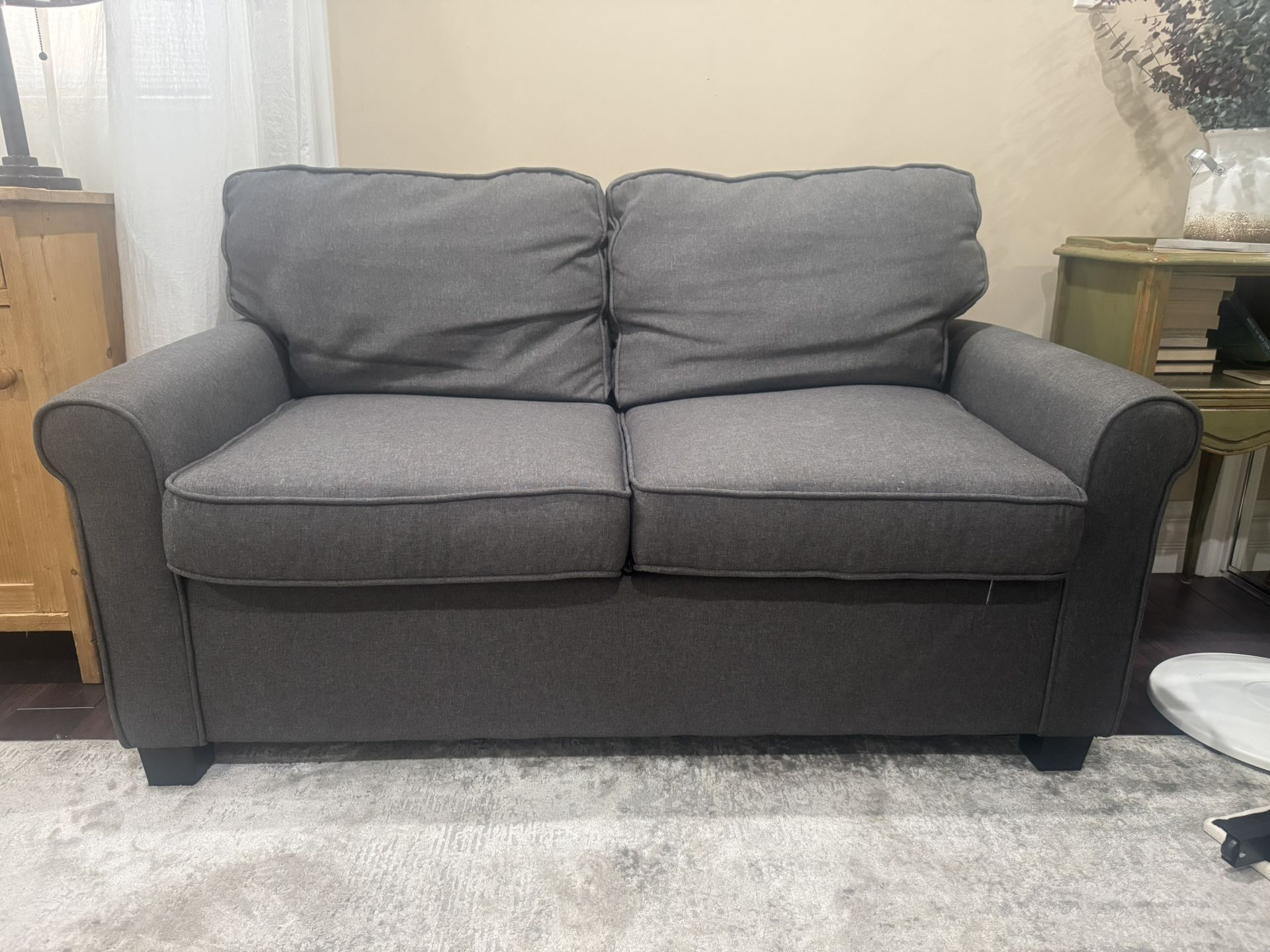 Sleeper Pull-Out Couch – Excellent Condition!