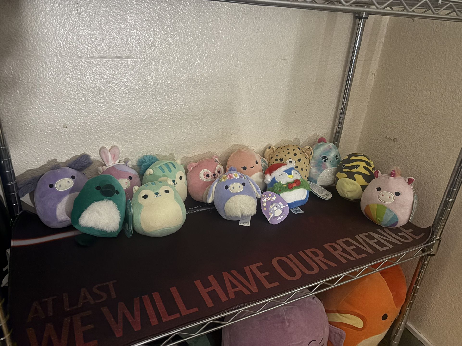 Small Medium Squishmallows Set