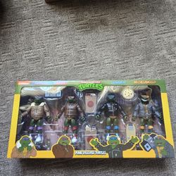 Ninja Turtles Punk Disguise