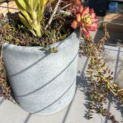 Gray Ceramic Pot