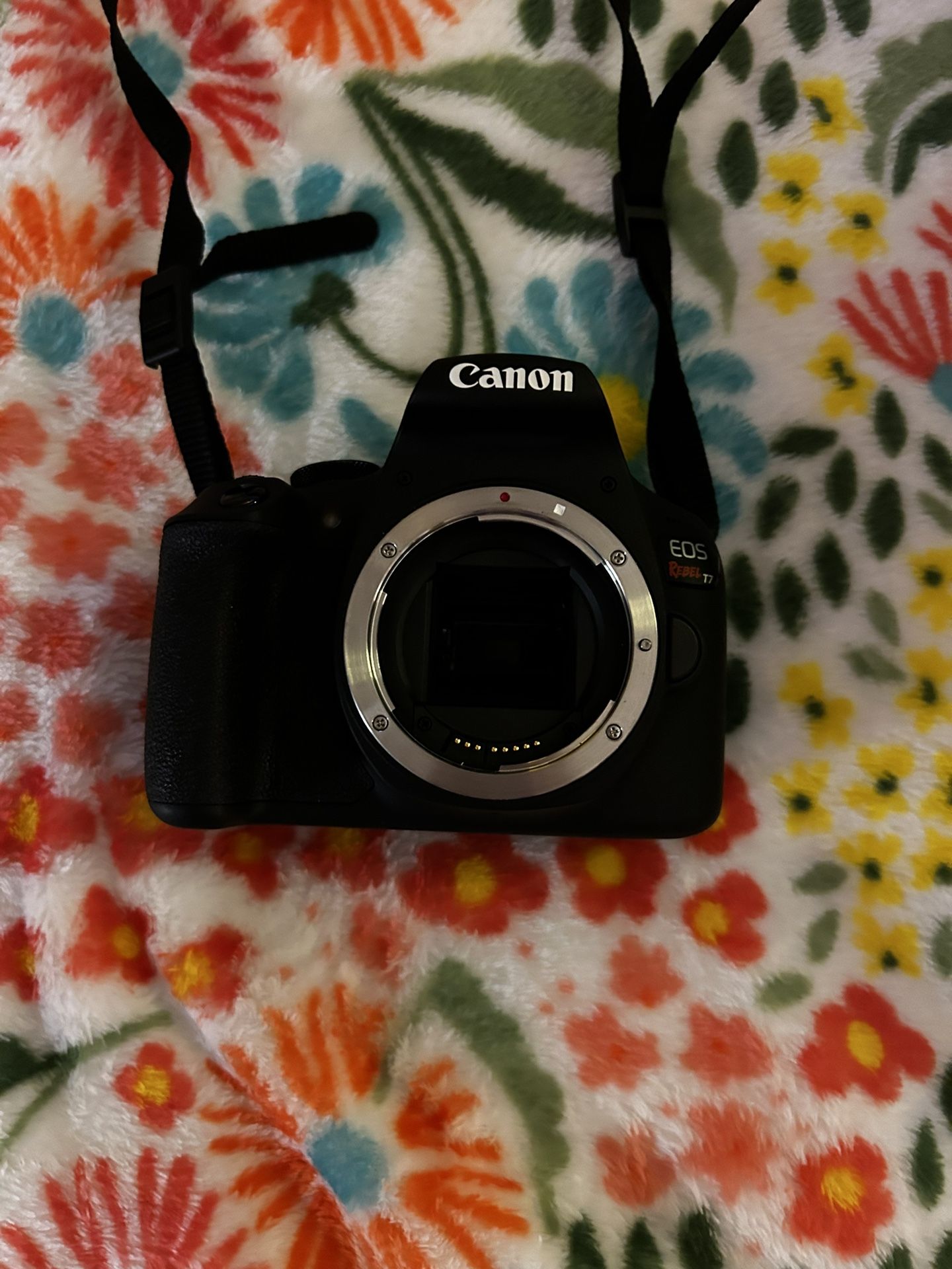 Canon Rebel T7 Camera + Extra Equipment