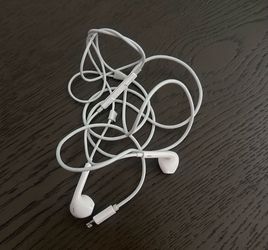 Apple earphones lightning