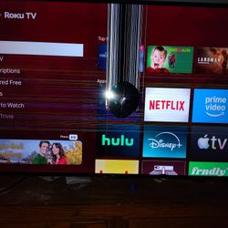 Broken 55 Inch Roku TV