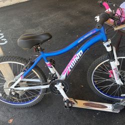 Walmart Bike 