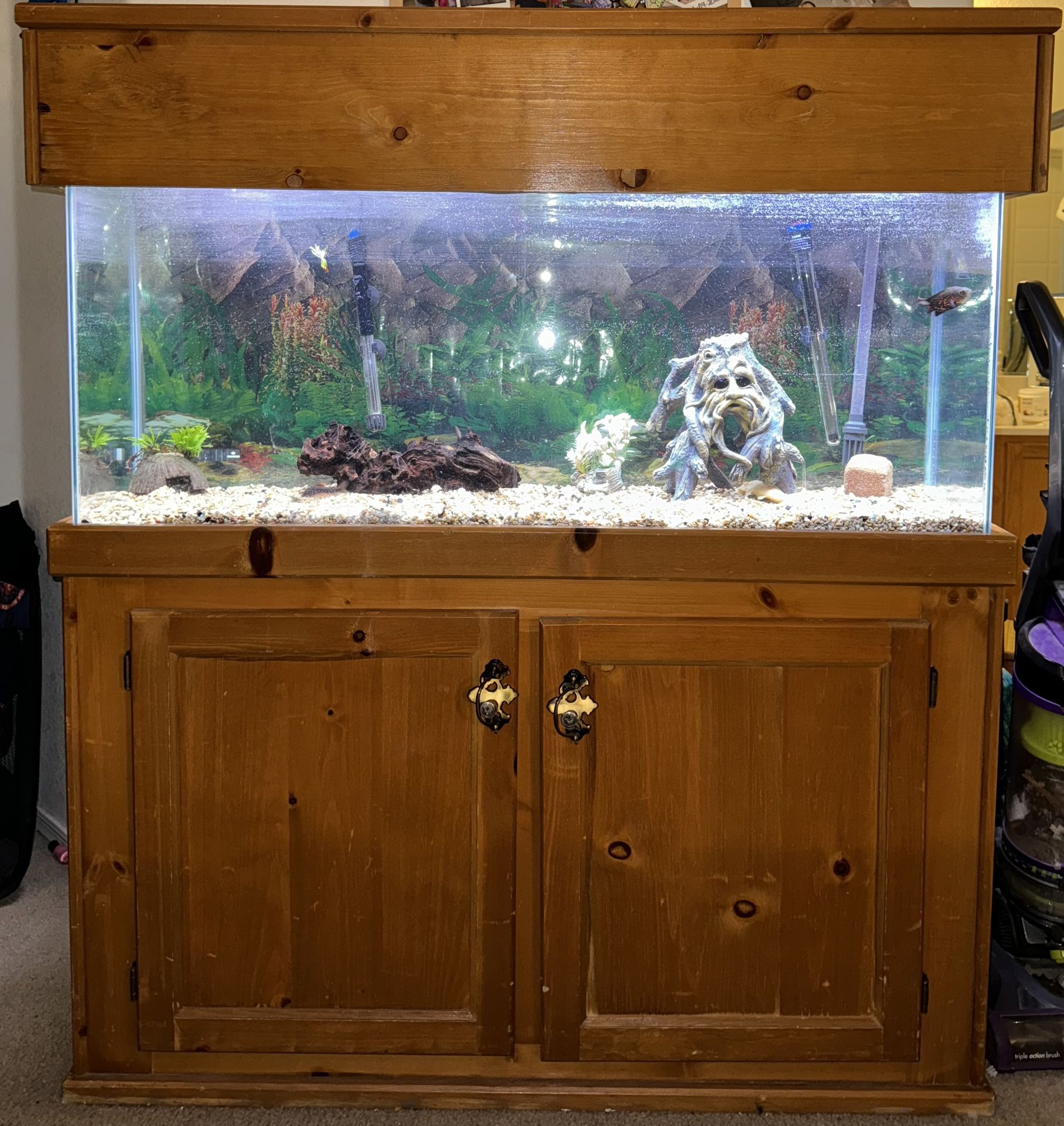 55 Gallon Tank & Stand( No Fish Included)