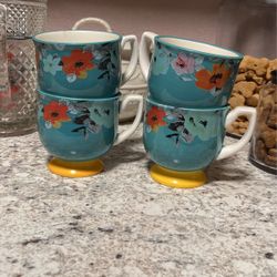 Pioneer Women Mugs 
