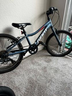Giant xtc jr 20”