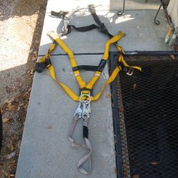 Call tech harness