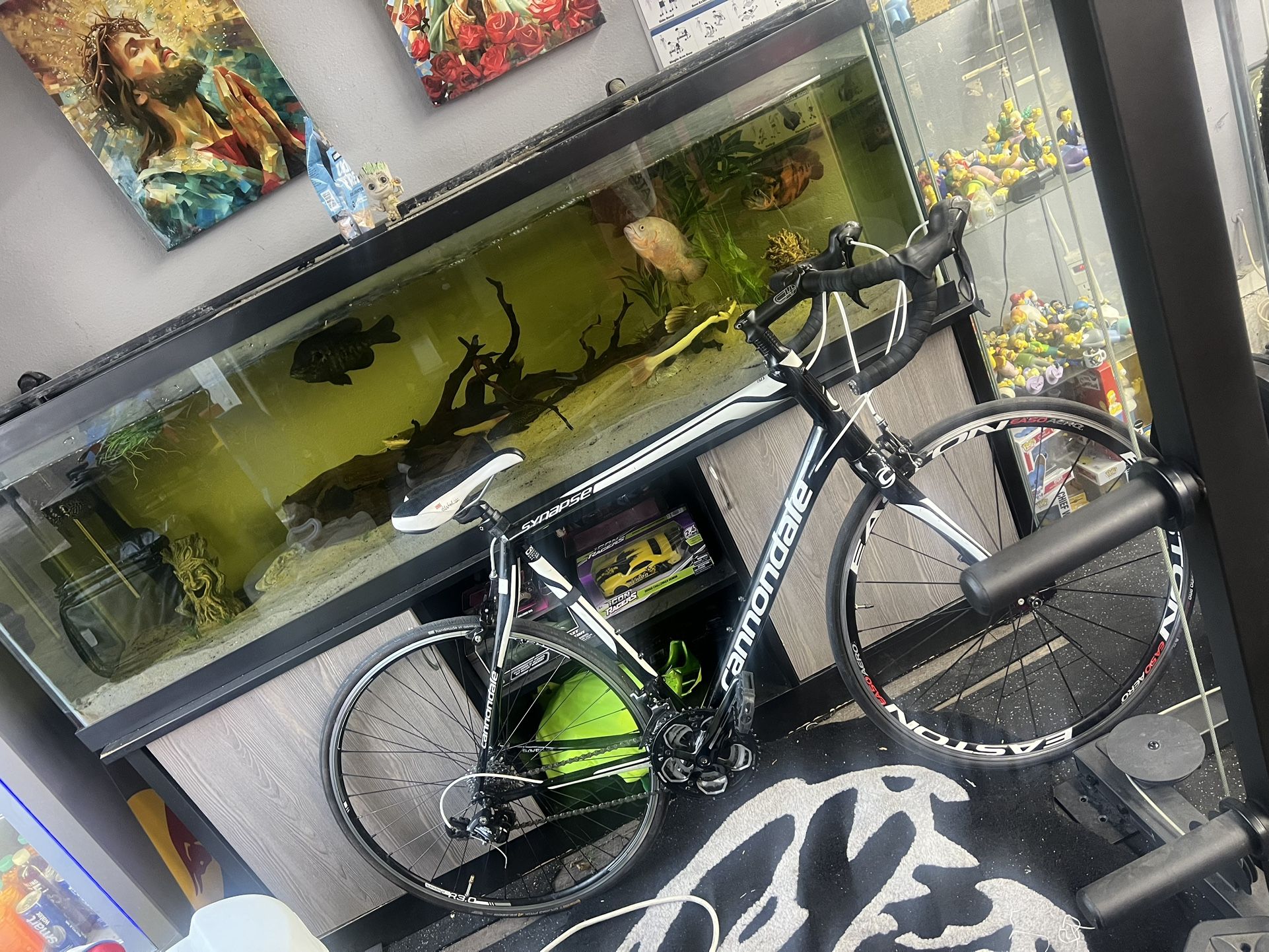 Cannondale Bike