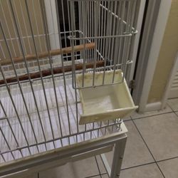 Bird Cage